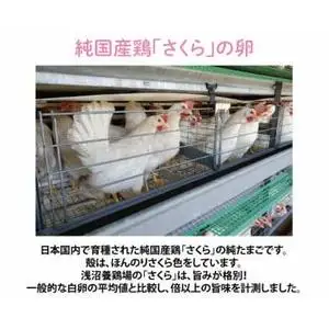 純国産鶏【さくら】純たまご30個入り 破損保証5個を含む【12ヶ月連続お届け】 (AJ030) 国産 卵 産地直送 飼料にこだわった 鶏卵