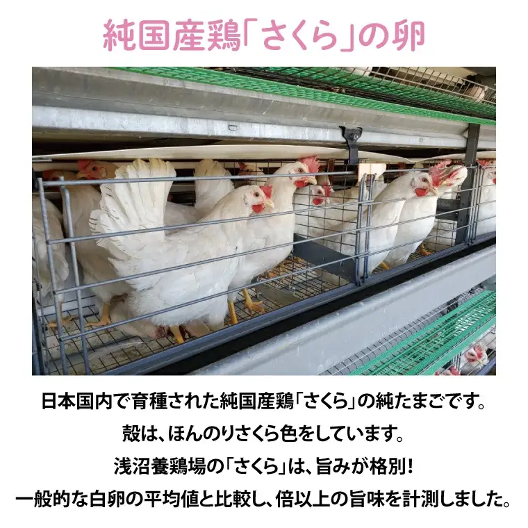 純国産鶏【さくらともみじ】純たまご30個入り 破損保証5個を含む【3ヶ月連続お届け】 (AJ032) 国産 卵 産地直送 飼料にこだわった 鶏卵