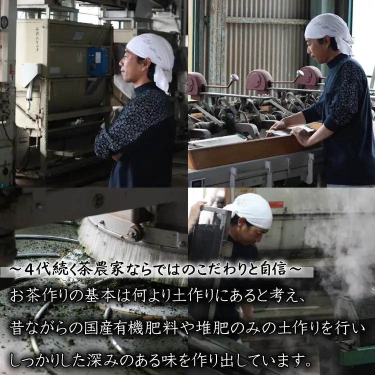 【八女茶】奥八女星野茶 高木茶園の深蒸し高級煎茶(深蒸し茶)100g×2袋 4K14