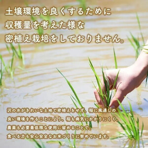 《令和7年産》秋田県産あきたこまち 家計お助け米10kg【こまちライン】