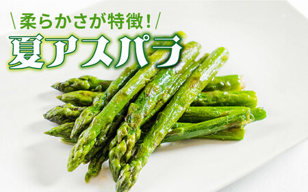 【3回定期便】【星のアスパラ】春・夏・秋 の グリーン アスパラガス 約1kg / アスパラ 野菜 / 南島原市 / ほしのYA [SEY013]