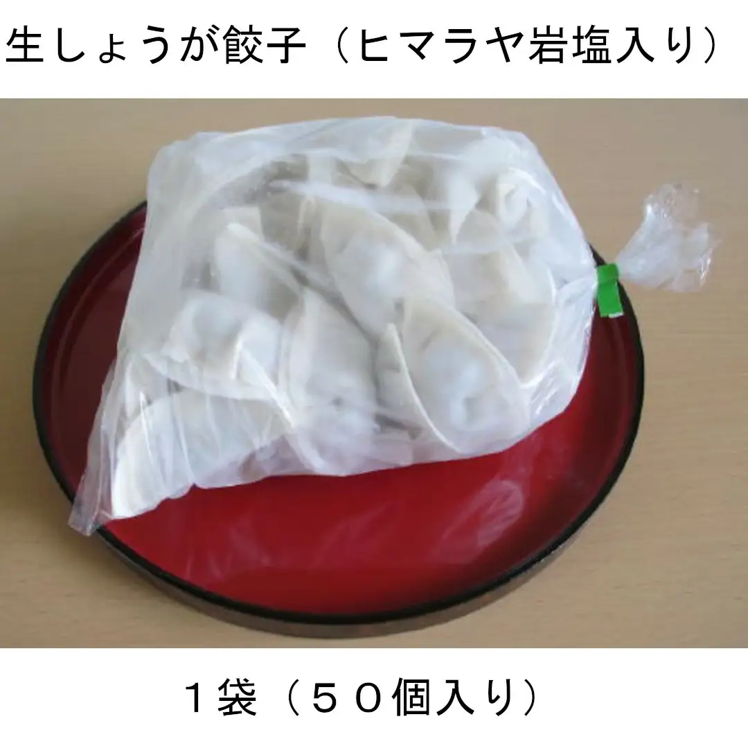 ヒマラヤ岩塩入り生しょうが餃子(22g×50個)　【07208-0283】