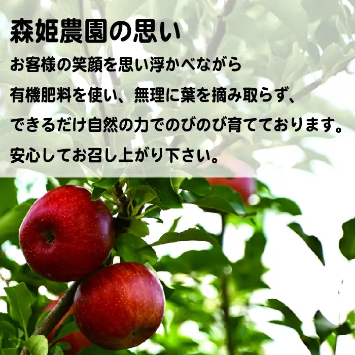 無添加りんごジュース 大ビン1,000ｍｌ ２本 飲み比べ ギフト お土産【07208-0198】