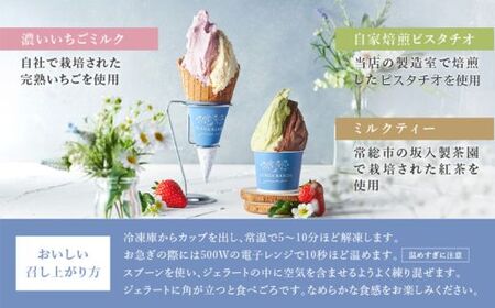 SENDA BANDA ジェラート詰め合わせ＜120ml×6個＞｜ ジェラート ジェラート ジェラート ジェラート ジェラート ジェラート