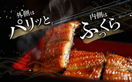 うなぎ 国産 蒲焼 3尾 うなぎ[480g]