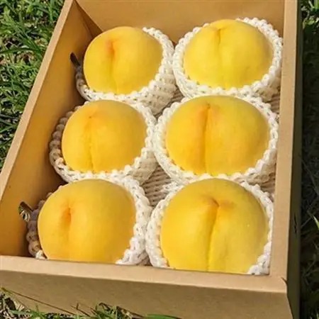 【ふるさと納税】2026年発送 山梨県山梨市産 黄桃 黄金桃 約2kg 5玉～8玉【配送不可地域：離島】【1328634】