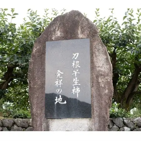 まるで果物そのもののような松田果樹園+自慢の柿のジェラート。16個セット_菓子・スイーツ アイス・ジェラート  _【配送不可地域：離島・北海道・沖縄県・東北】【1125674】