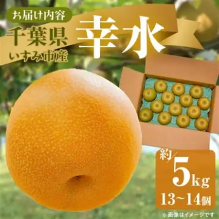【2026年発送先行受付】いすみ市産幸水梨　約5kg(13～14個)_果物・フルーツ 和梨 梨 わなし ワナシ_【1462339】