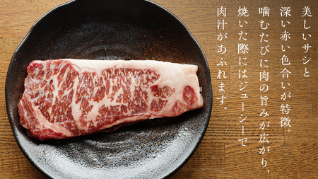上州牛 サーロイン ステーキ 360g ( 180g × 2枚 ) [AH012tu]