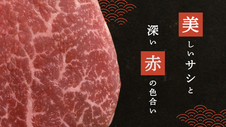 《 定期便 》 上州牛 ヒレステーキ 100g × 5枚 3ヶ月 連続お届け [AH020tu]