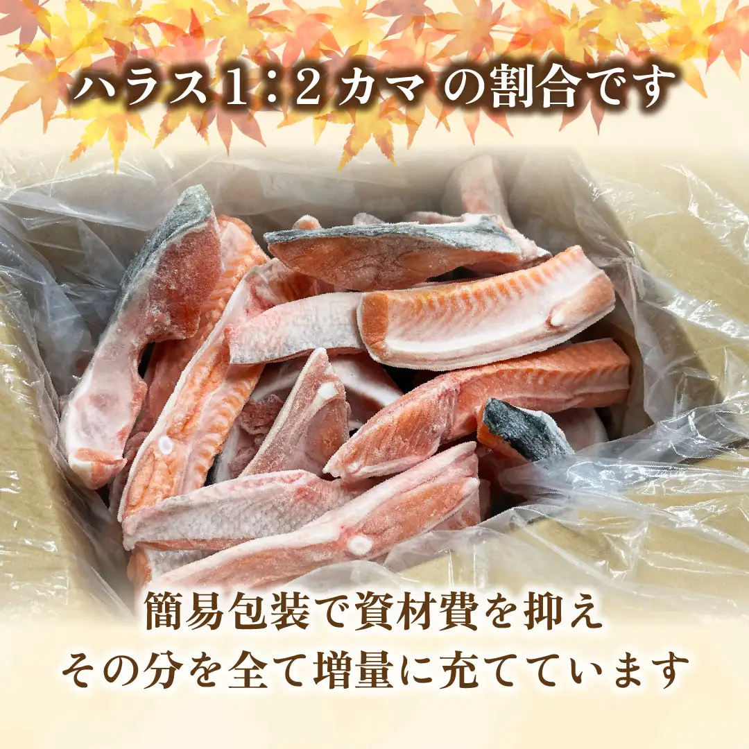 【先行受付】〈数量限定〉 知床斜里産 天然秋鮭カマ＆ハラス 1.5kg  鮭