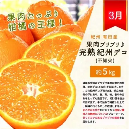 【発送月固定定期便】紀州和歌山産旬のフルーツセット(みかん・紀州デコ・清見)全3回【配送不可地域：離島】【4005746】