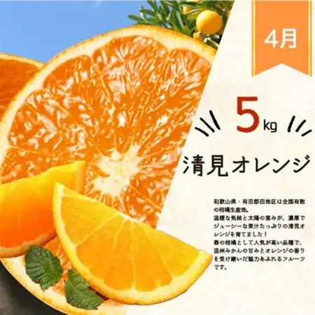 【発送月固定定期便】紀州和歌山産旬のフルーツセット(みかん・清見・桃)全3回【配送不可地域：離島・北海道・沖縄県】【4005761】