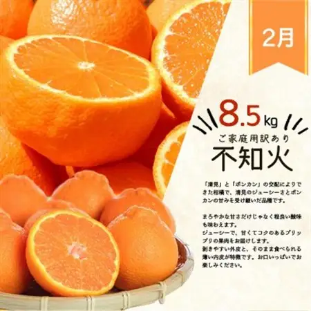 【発送月固定定期便】紀州和歌山産旬のご家庭用柑橘セット(みかん・不知火・レモン)全3回【配送不可地域：離島】【4005768】