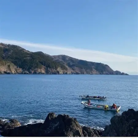 【南三陸町直送】三陸産天然活アワビ6～7個(約800g)　貝むきセット入_魚介・海産物 鮑（アワビ） 貝 あわび_【配送不可地域：離島・北海道・沖縄県・信越、北陸・東海・近畿・中国・四国・九州】【1371845】