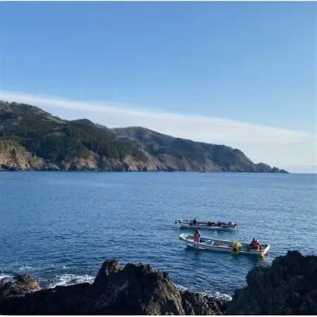 【南三陸町直送】三陸産天然活アワビ 3～4個(約400g)　貝むきセット入_魚介・海産物 鮑（アワビ） 貝 あわび_【配送不可地域：離島・北海道・沖縄県・信越、北陸・東海・近畿・中国・四国・九州】【1371846】