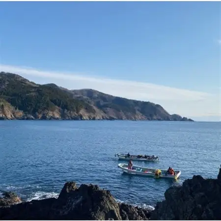 【南三陸町直送】三陸産天然活アワビ 5～6個(600g)　貝むきセット入_魚介・海産物 鮑（アワビ） 貝 あわび_【配送不可地域：離島・北海道・沖縄県・信越、北陸・東海・近畿・中国・四国・九州】【1371847】