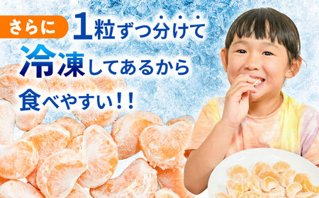 冷凍みかん 1.6kg(400g×4袋)  冷凍 伊木力みかん AHCF006