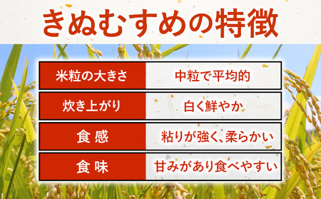 【12ヶ月定期便】ありがとう園の白米 20kg