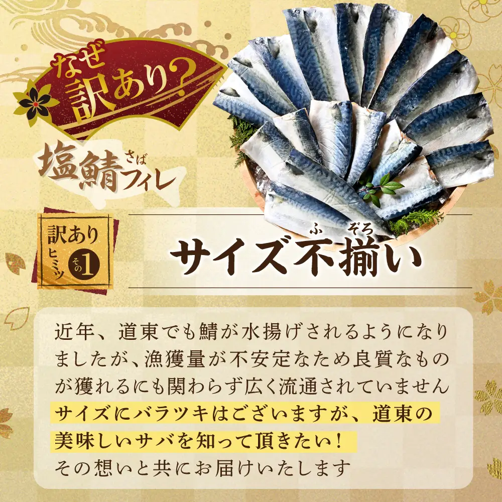 【訳あり】塩 サバ フィレ 2kg