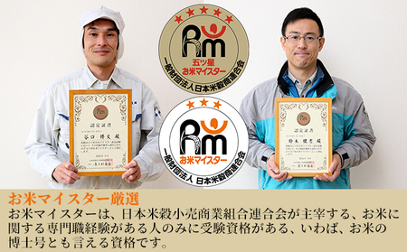 新潟産こしいぶき 5kg×2 お米 精米 白米 ご飯 ブランド米 銘柄米 おにぎり お弁当 産地直送 