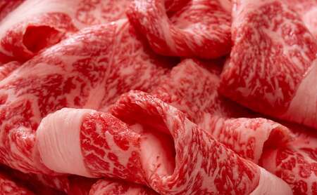 【ふるさと納税】美水牛 贅沢 切落し 600ｇ ( 200ｇ×３ ) 牛肉 冷凍品 ギフト 肉 お祝い 但馬牛 神戸牛 三田牛 数量限定 訳あり ふるさと納税 ふるさと 人気 おすすめ 送料無料 兵庫県 三田市 [3d28bae590012]