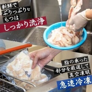 【大盛り九条ねぎ】京都もつ 鍋セット 4～5人前 鍋セット