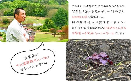 濃縮 赤紫蘇シロップ ６倍希釈 500ml×１０本 | 紫蘇シロップ 馨工房 