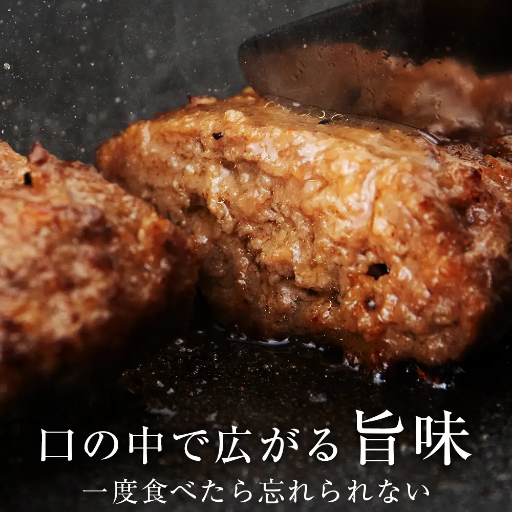 いわさき黒毛和牛 創業ハンバーグ 120g×10個 AB022