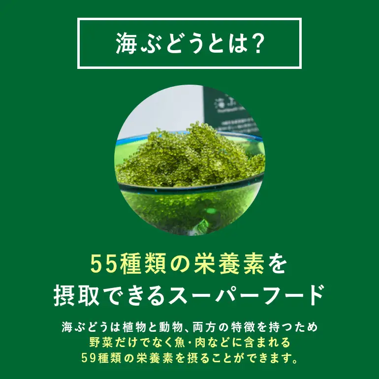 しゃきしゃき海ぶどう 400g 訳あり 沖縄県 海ぶどう 海ブドウ ウミブドウ 沖縄 大人気 特産物 お土産 健康 栄養 美容 美肌 ダイエット ミネラル マグネシウム カルシウム 鉄分 タレ付き おつまみ うみぶどう 海藻 グリーンキャビア