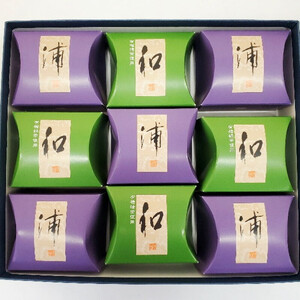 無添加和菓子　浦・和　9個入りセット　【11100-0549】
