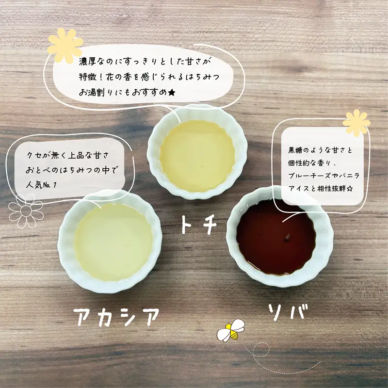 ＜おとべのはちみつ　アソートセット1個＞天然アカシア・トチ・そば蜜のセット