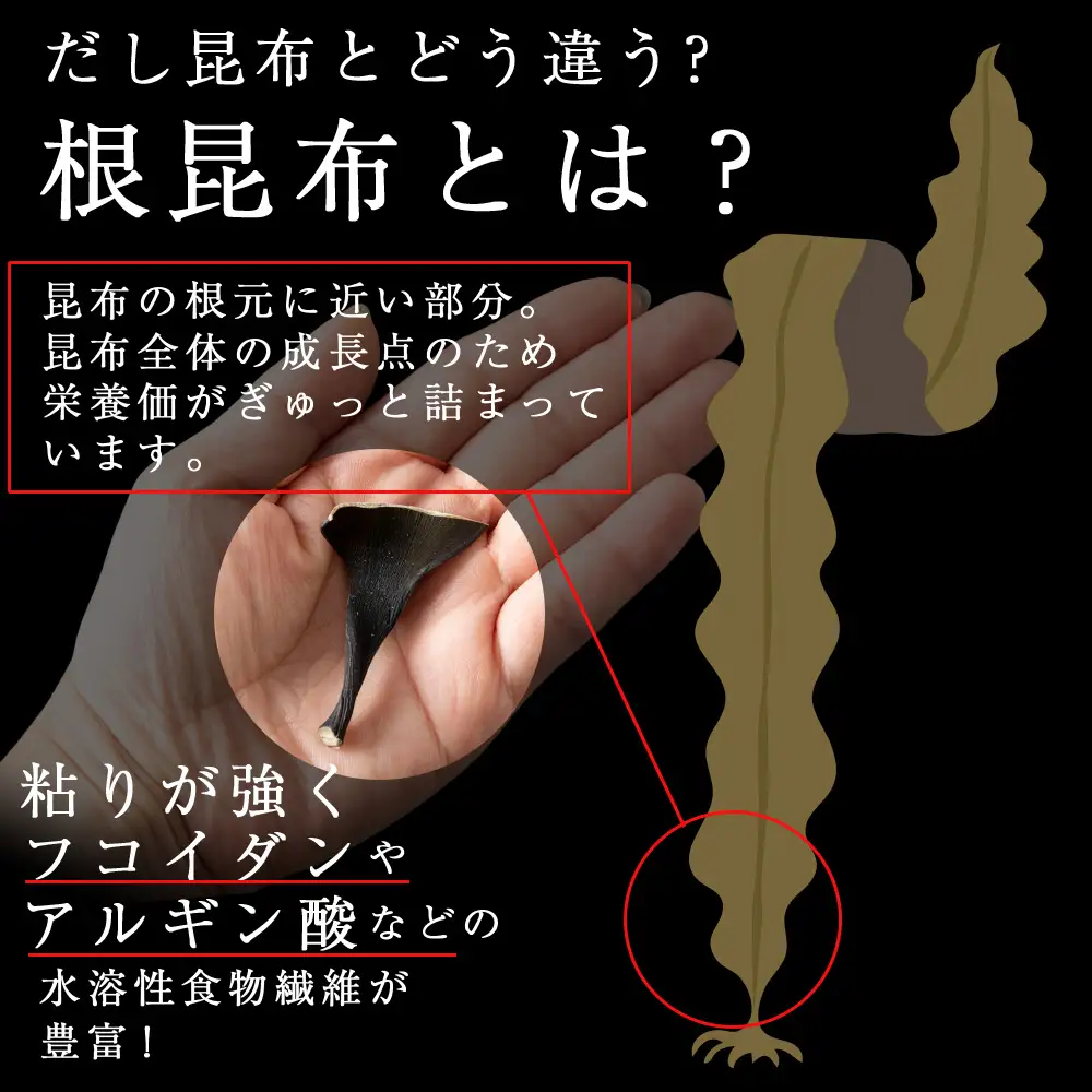 利尻島産 根昆布 12袋セット＜利尻漁業協同組合＞