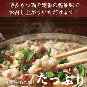 【ふるさと納税】【博多名物】鶏水炊き&もつ鍋2種(醤油味・みそ味)満腹食べくらべ 各2人前(合計6人前)(添田町) [a0506] 株式会社マル五 ※配送不可：離島【返礼品】添田町 ふるさと納税