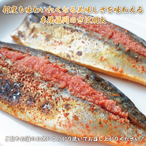 【ふるさと納税】ご飯のお供!辛子明太づくしAセット(数の子明太・いか明太・さば明太・いわし明太) [a9510] 株式会社マル五 ※配送不可：離島【返礼品】添田町 ふるさと納税