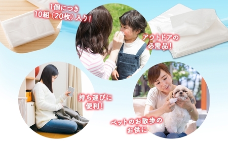 ポケットティッシュ セット クリネックス 至高 極(きわみ) ティッシュ 詰め合わせ 6点セット