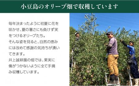 【井上誠耕園】～2025年初搾り～ 化粧用小豆島産エキストラヴァージンオリーブオイル (20ml×2本)
