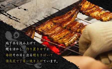 「 うなぎのふじ井 」 うなぎ の 蒲焼 1尾 K250-001 魚 惣菜 総菜