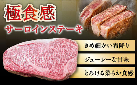 【内閣総理大臣賞受賞】長崎和牛 サーロインブロック 約3kg / ステーキ肉 サーロインステーキ / 南島原市 / 島原雲仙農業協同組合 [SES001] ステーキ すてーき サーロイン さーろいん サーロインステーキ さーろいんすてーき 和牛 わぎゅう 焼肉 焼き肉 BBQ バーベキュー 牛肉 ぎゅうにく 100000 100000円 10万円
