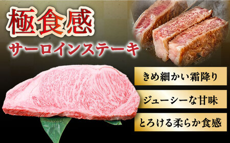長崎和牛 サーロインステーキ 約1kg [SES002] サーロイン