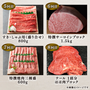定期便 12回  特選近江牛食べつくしコース ( 定期便 1年 ステーキ肉 焼肉 焼き肉 定期便 ほほ肉 定期便 肉 モモ肉 定期便 バラ肉 定期便 肩ロース肉 定期便 赤身肉 定期便 サーロイン肉 定期便 リブロース肉 定期便 サイコロステーキ 肉 定期便 ホルモン 肉 定期便 赤身肉 定期便 サイコロ肉 希少部位 特選焼き肉 特選焼肉  黒毛和牛 お弁当 ブランド 肉 近江牛 定期便 毎月 定期便 三大和牛 お肉 国産牛肉 定期便 国産和牛肉 定期便 滋賀県 竜王 神戸牛 松阪牛 に並ぶ 日本三大和牛 定期便 おすすめ牛 人気牛 三大和牛 近江牛定期便 お 高級牛 ふるさと納税                                                                            )