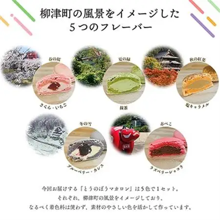 とうのぼう マカロン スイーツ 5個入り  個包装 で ギフト や 手土産 にもおすすめ【配送不可地域：離島】【1460473】
