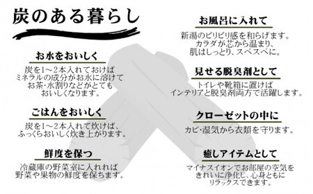 KURO P&h120gと最高級紀州備長炭2本のセット 紀州備長炭 蜂蜜 はちみつ 黒はちみつ 梅酢エキス 和歌山県 すさみ町 【ttm003】
