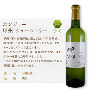 ワイン ホンジョーワイン贅沢赤白飲み比べセット（MG）B15-699