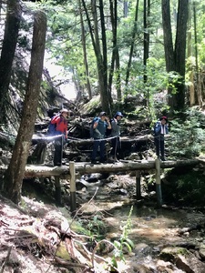 地元ガイドと行く！秘境癒しトレッキングツアー [h251]