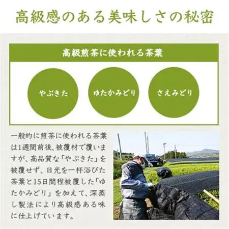 お茶の老舗“厚石園”『高級深蒸し茶セット』  ギフト A3-97_飲料・ドリンク 茶葉・ティーバッグ 茶   飲料・ドリンク  茶 _【配送不可地域：離島】【1166624】