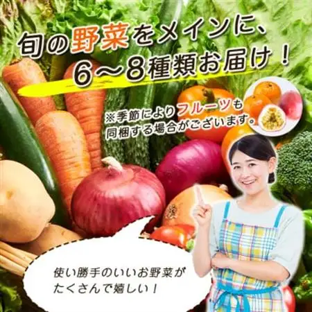 鹿児島県枕崎産旬の野菜の詰め合わせ(6～8種類) 野菜セット 国産 九州 厳選 A3-291_野菜 さつまいも いも サツマイモ 薩摩芋  野菜   _【配送不可地域：離島】【1166700】