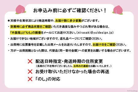 【2026年発送】 桃 山梨 約3kg (7～12玉) アソート [OUTTA REACH JAPAN 山梨県 韮崎市 20742863］
