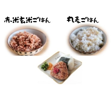 循環型有機肥料で育った赤米五分（もち米）2kg【アグリCATS】_HA1442
