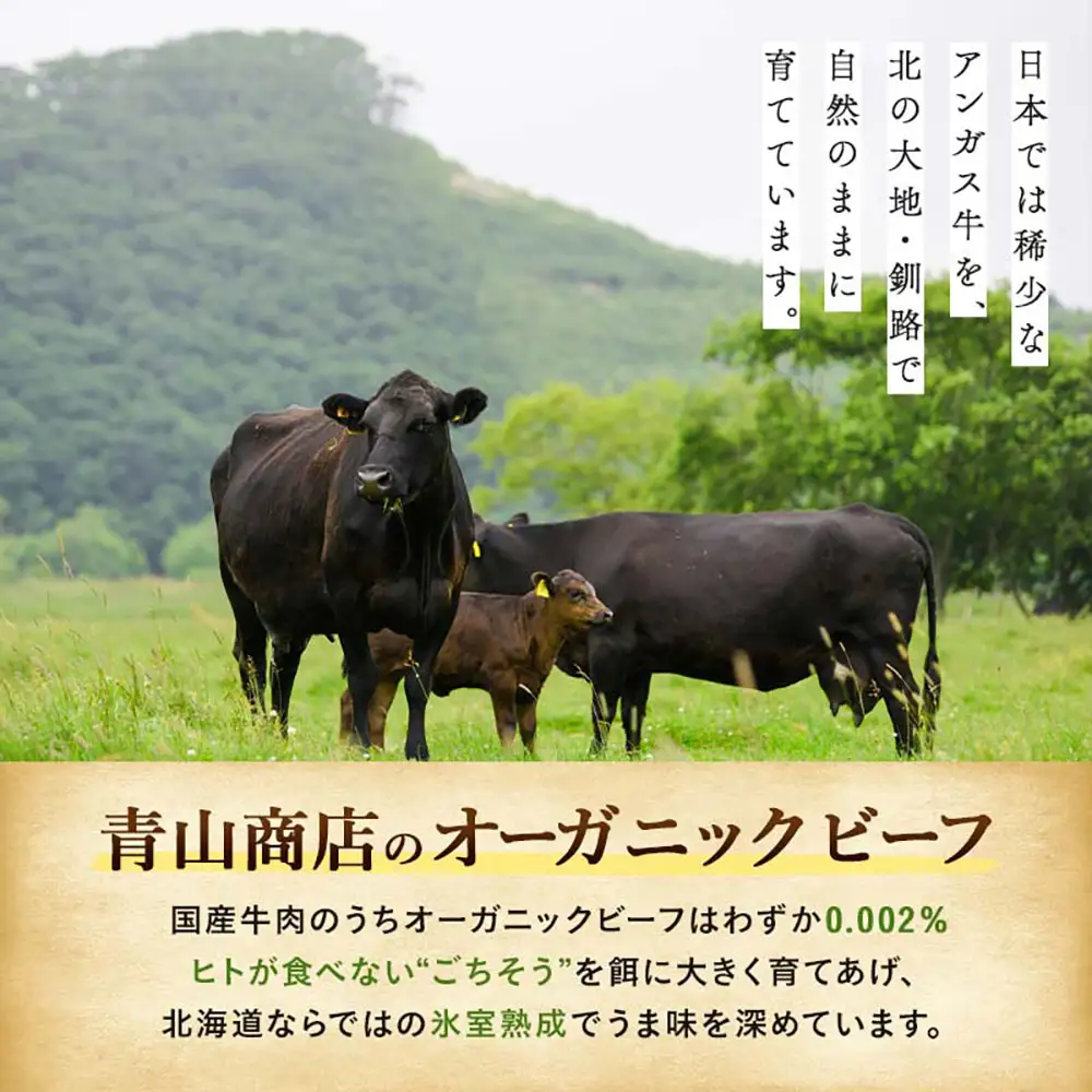 釧路生まれ、釧路育ちのオーガニックビーフ 生ハンバーグ120g×8枚 牛肉 ハンバーグ 国産 牛 肉 お肉 個包装 おかず お弁当 北海道 F4F-3487